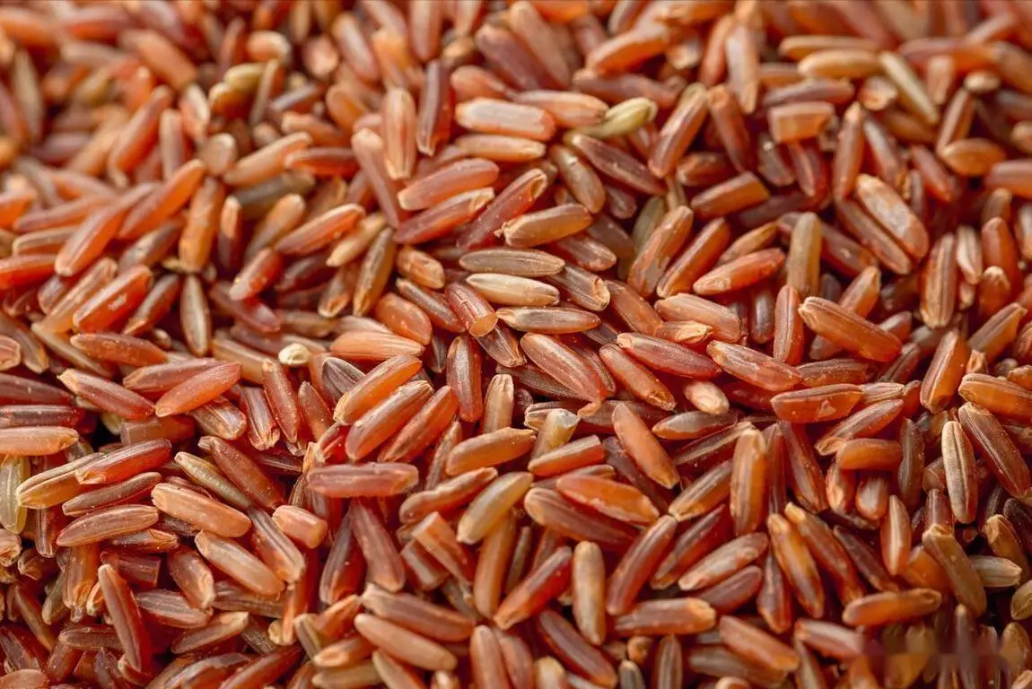 红米Redmi 10X值得入手吗 配置参数价格全解析