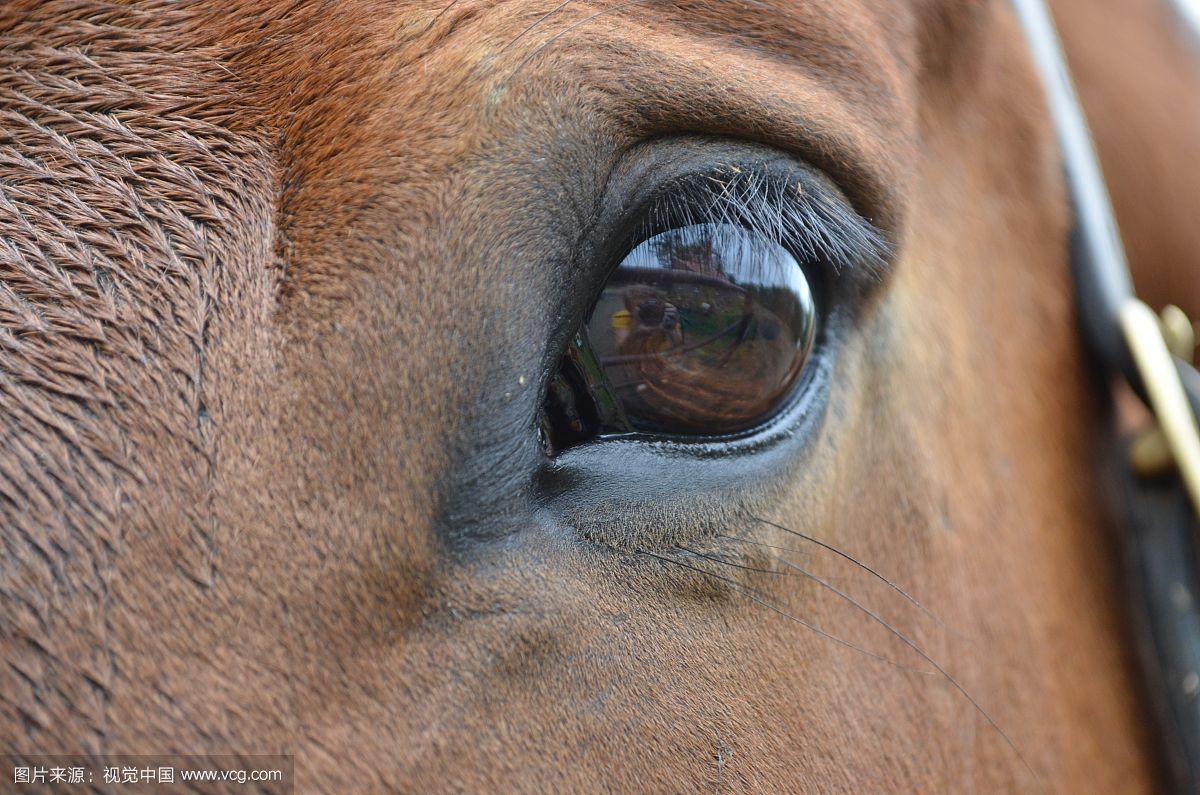 近日数据统计显示：马眼棒使用方法及注意事项：如何正确使用马眼棒才能确保安全舒适？