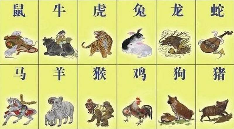 下一代防火墙主要功能和技术设备推荐 下一代防火墙和反向代理WAF有何区别