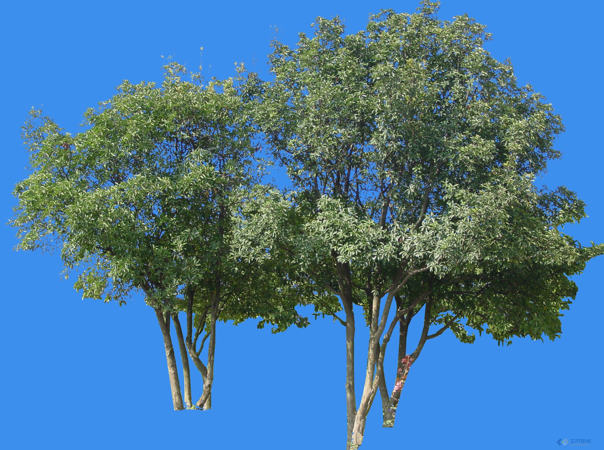 psd网页模板使用教程