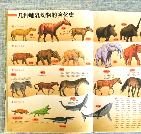 宁波北仑女晚上快餐：霓虹灯下的生存图鉴与城市暗流