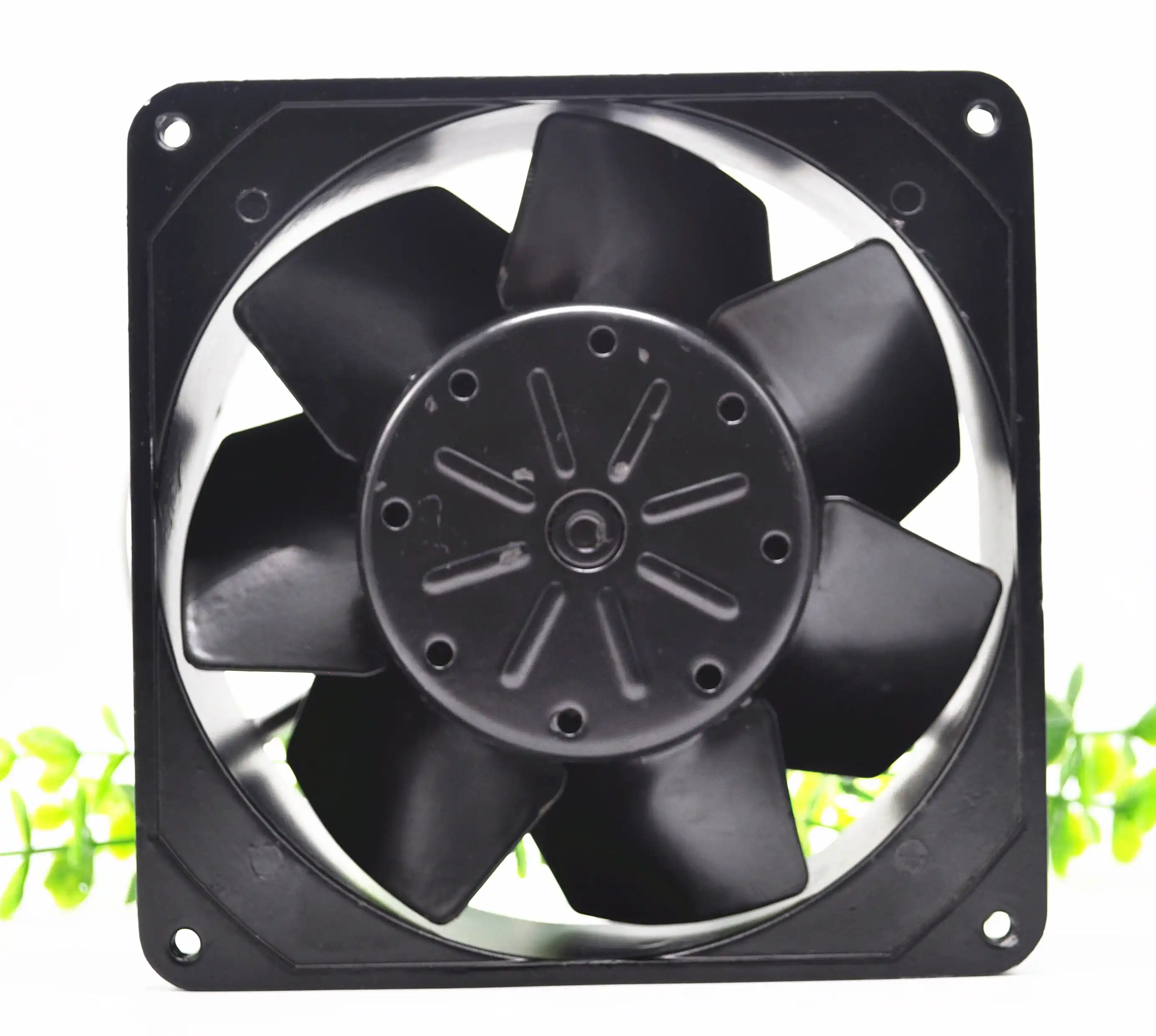 韩国人将在2750年自然“灭绝”?...