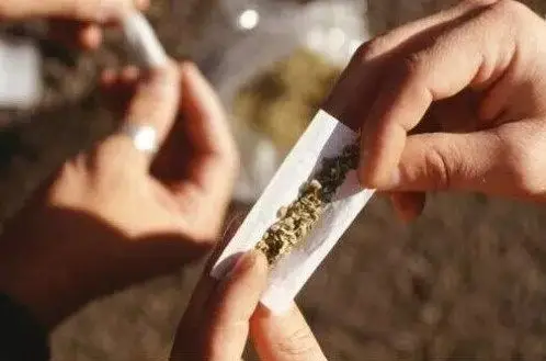 毒品认知误区 日常涉毒风险防范指南