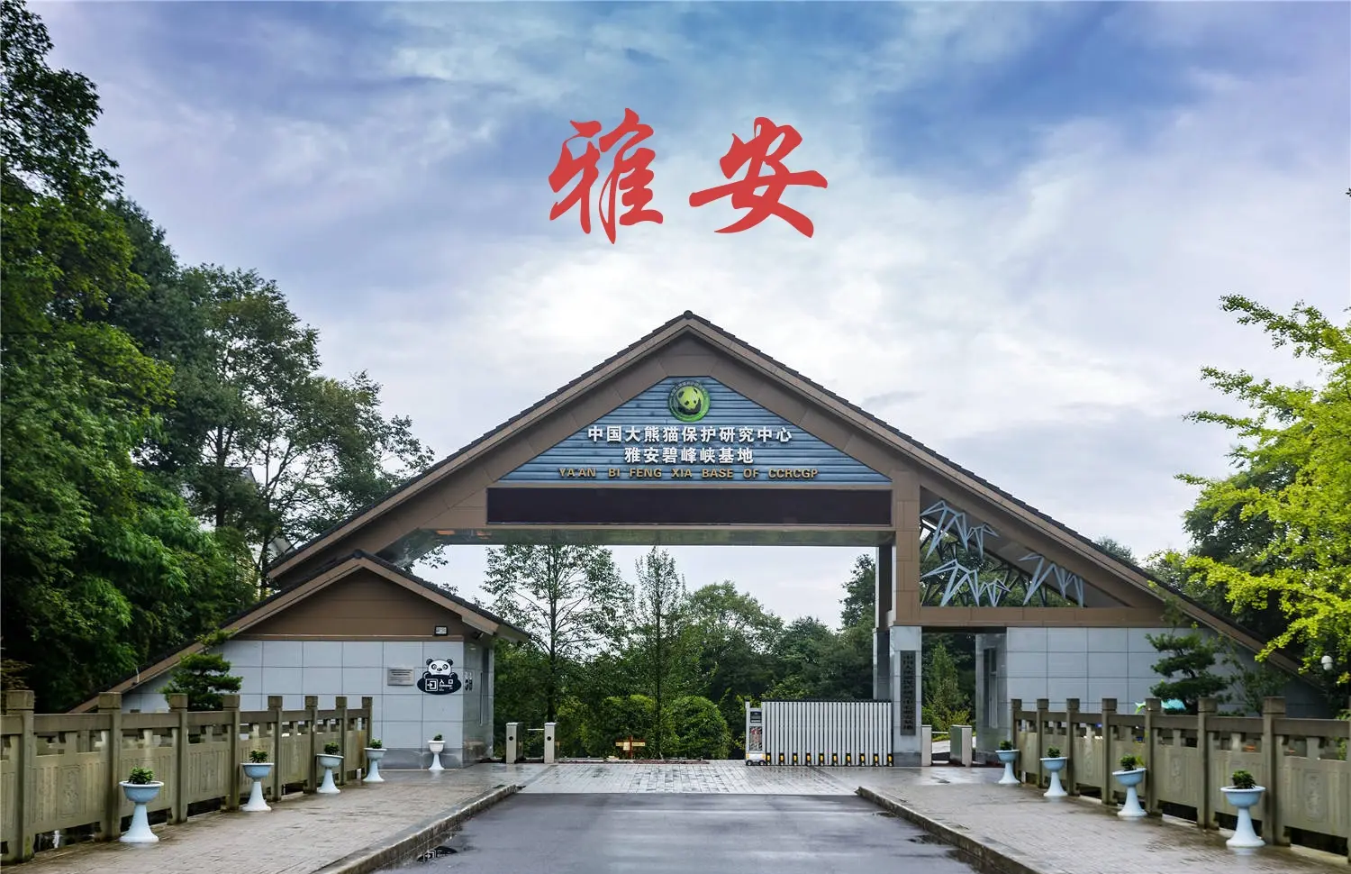 雅安旅游必体验项目 大熊猫故乡游玩攻略