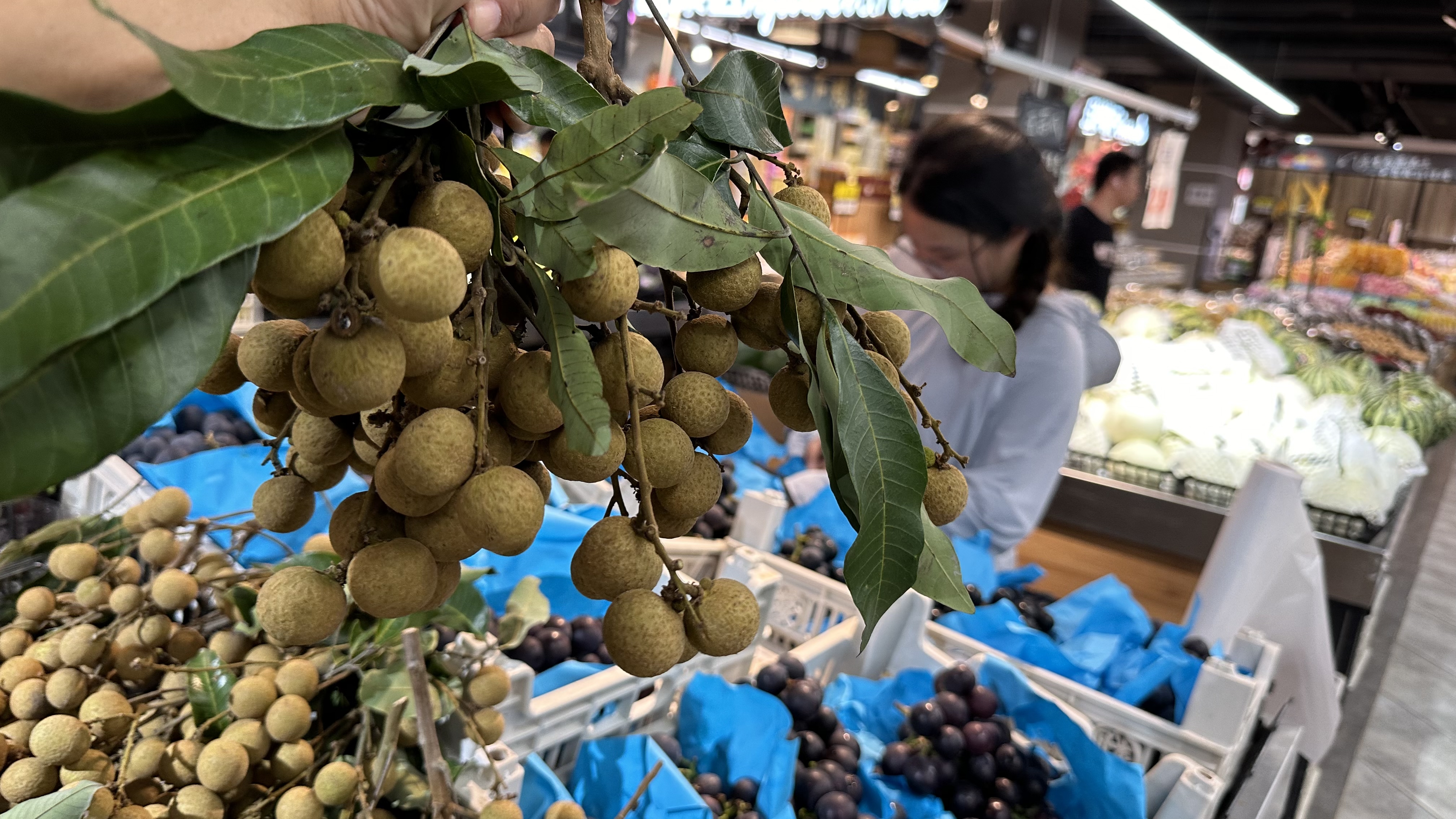 现在龙眼一斤多少钱 买一斤龙眼大概多少钱