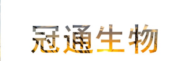 广州同城优质社交资源全指南:从线上到线下的正确打开方式