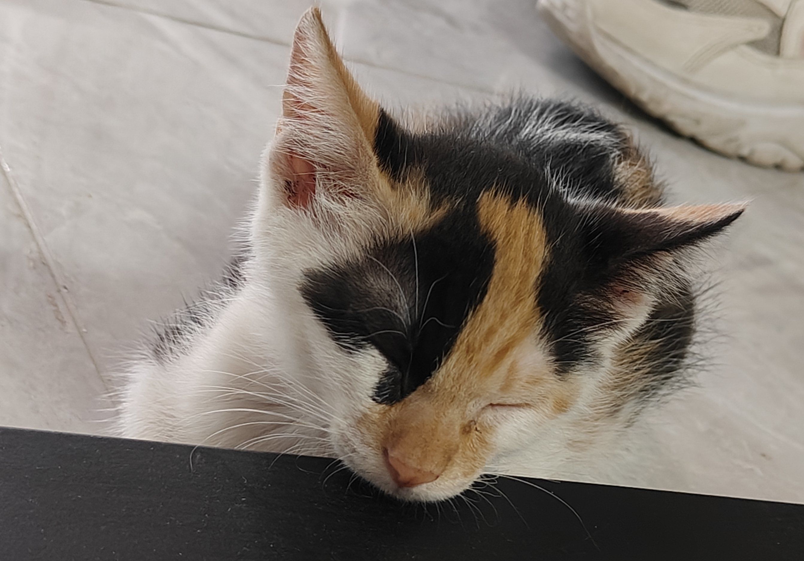 深夜饿急如何秒获热食?QQ快餐妹24小时免单互助全流程避坑