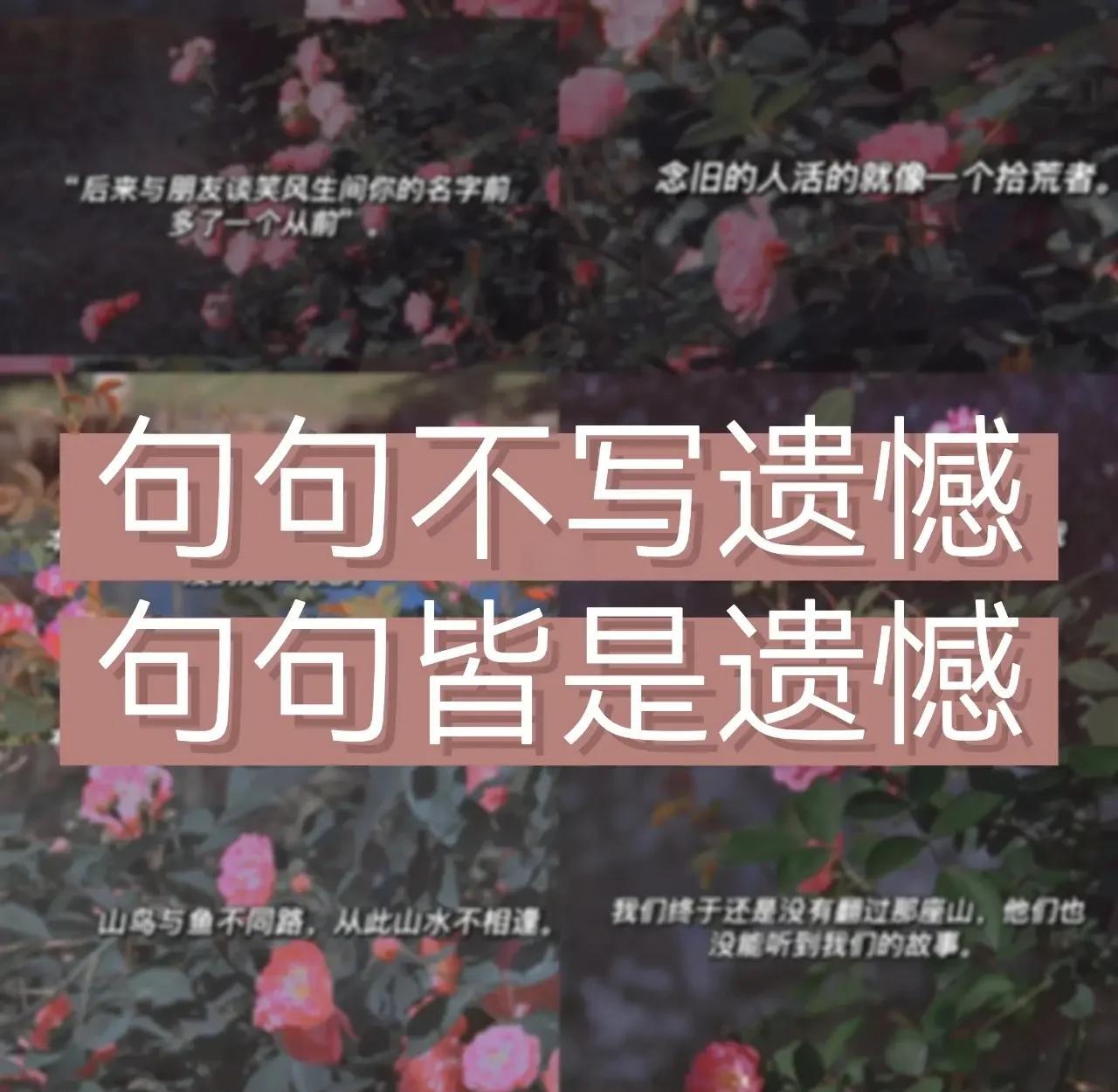 招工 最新招聘信息