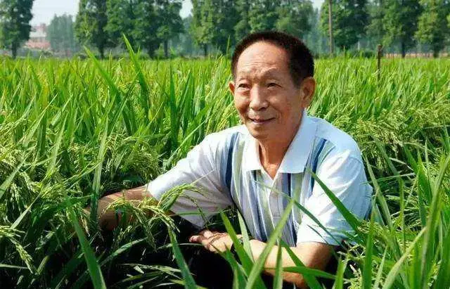 袁隆平个人简介及故事