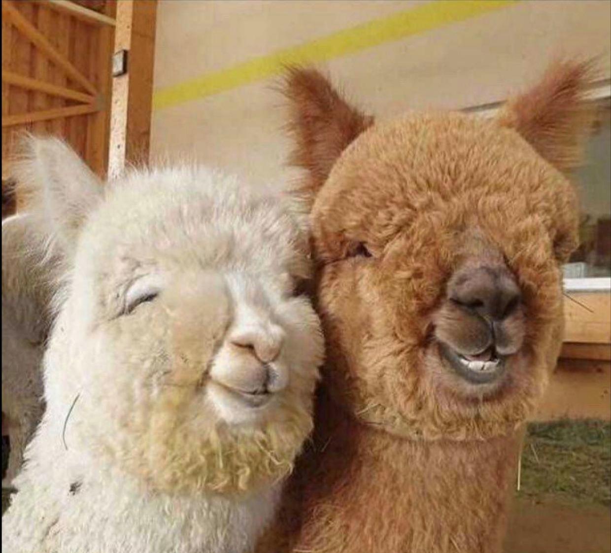 大范围传播：一脱二摸三插四揉五射到底是个啥？原来这么多人都搞错了