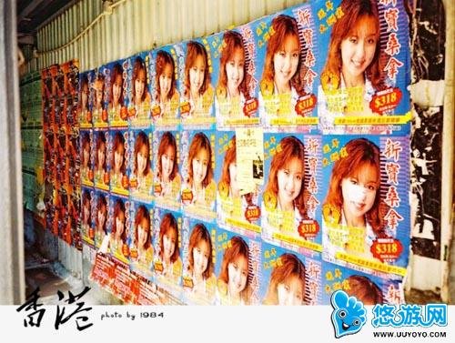 一楼一凤论坛最新动态解析,深度剖析行业趋势与用户需求