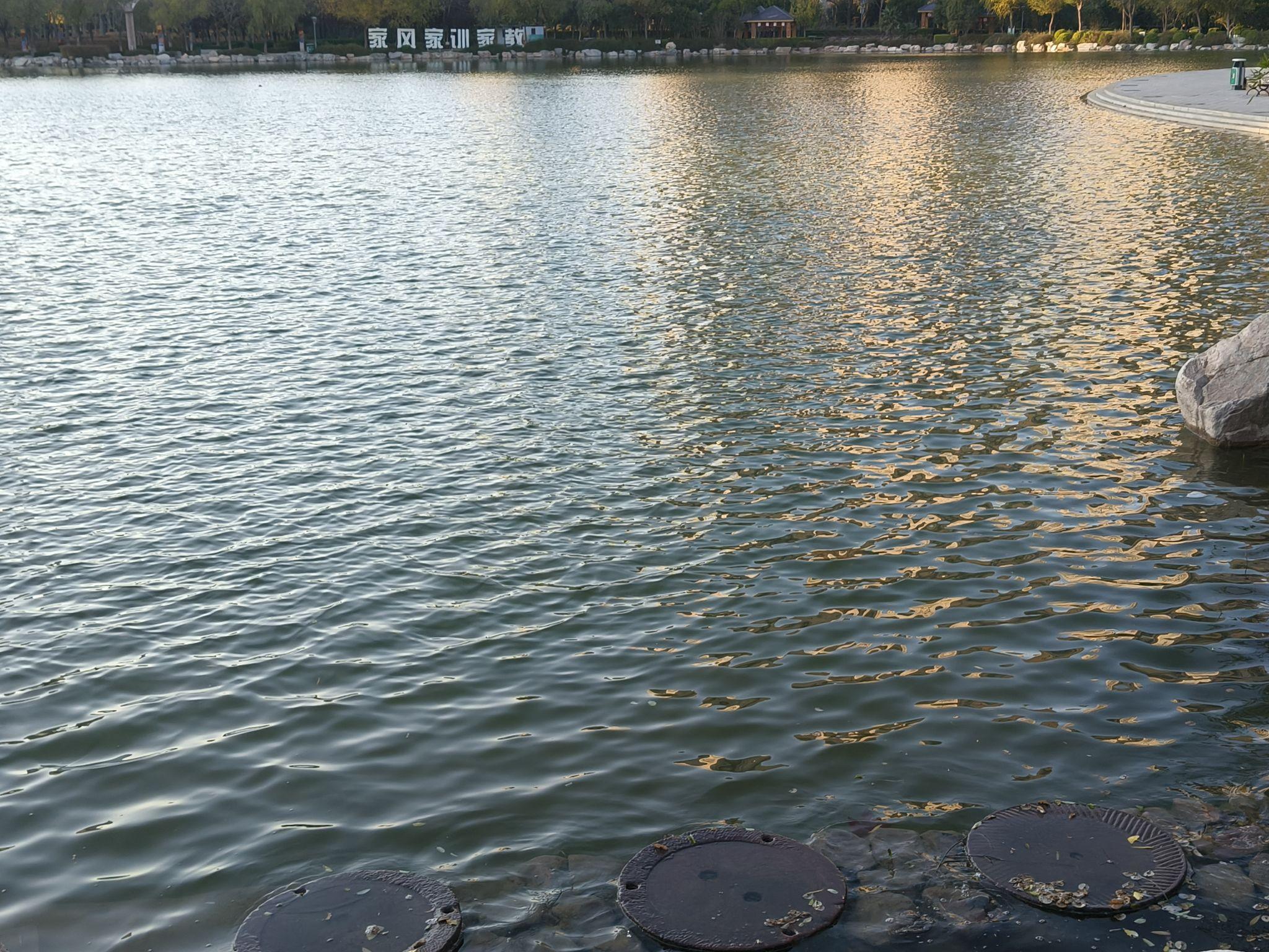 广州大学城超级攻略：学生最爱去的靠谱地方有哪些