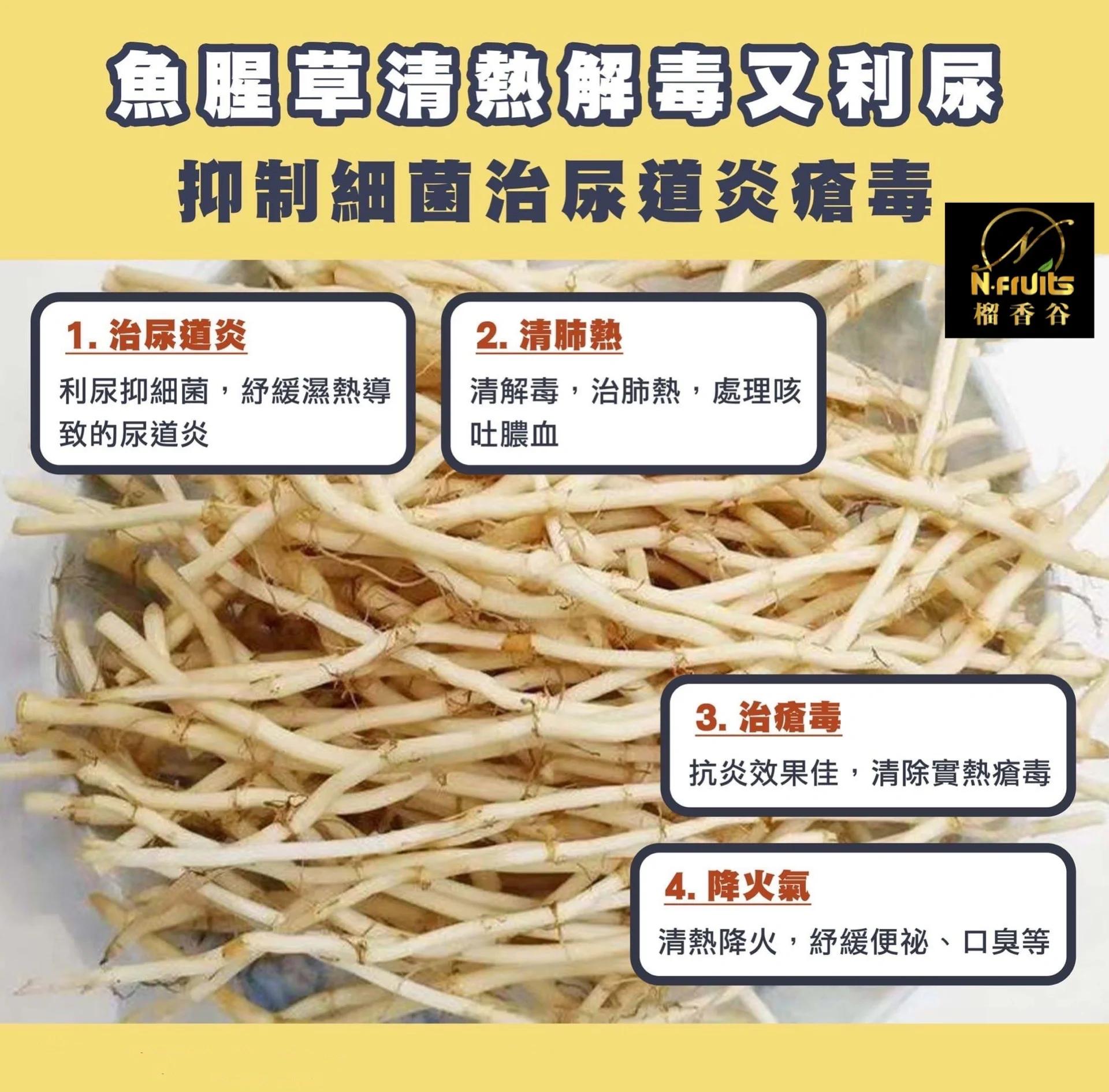 鱼腥草的功效与作用