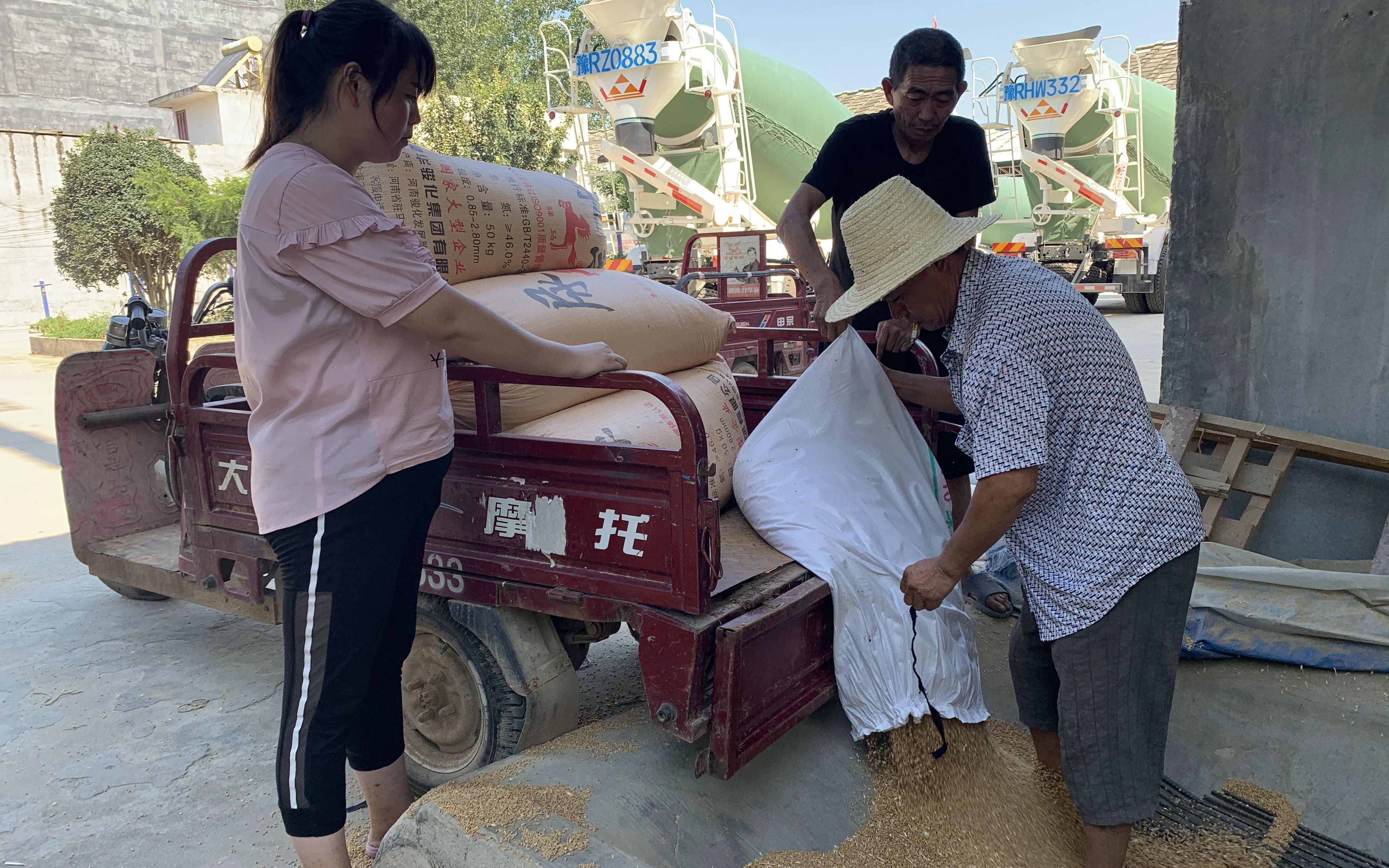 新疆小麦收购价格卖麦子怎么算钱