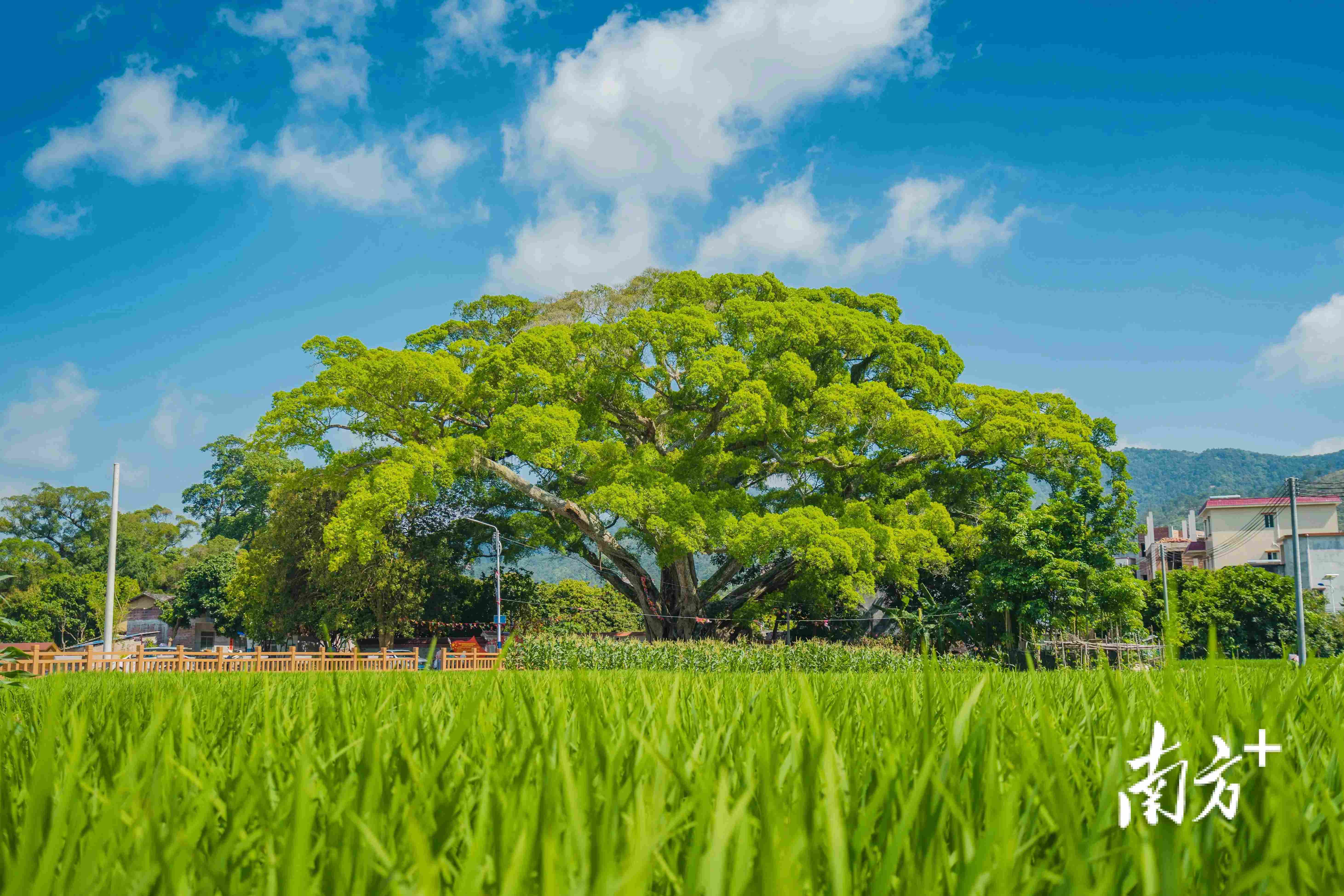 云浮500元睡一晚女的贵不贵
