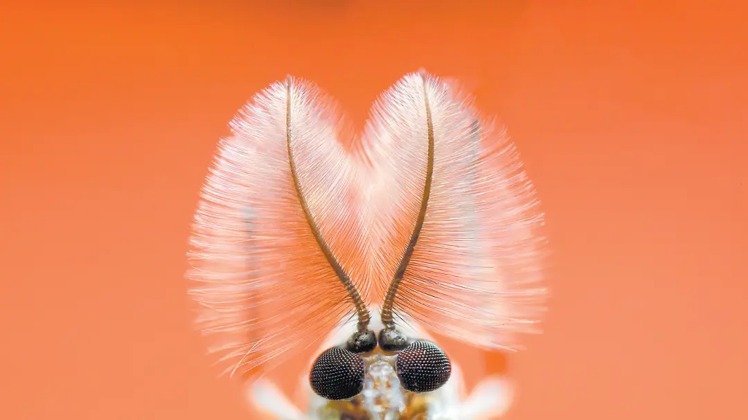 600元4小时快餐现象深度解析，时间与价值的消费博弈