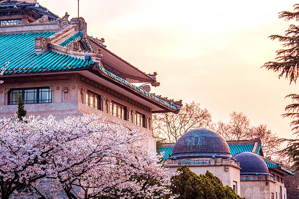 武汉什么渠道能约到学生