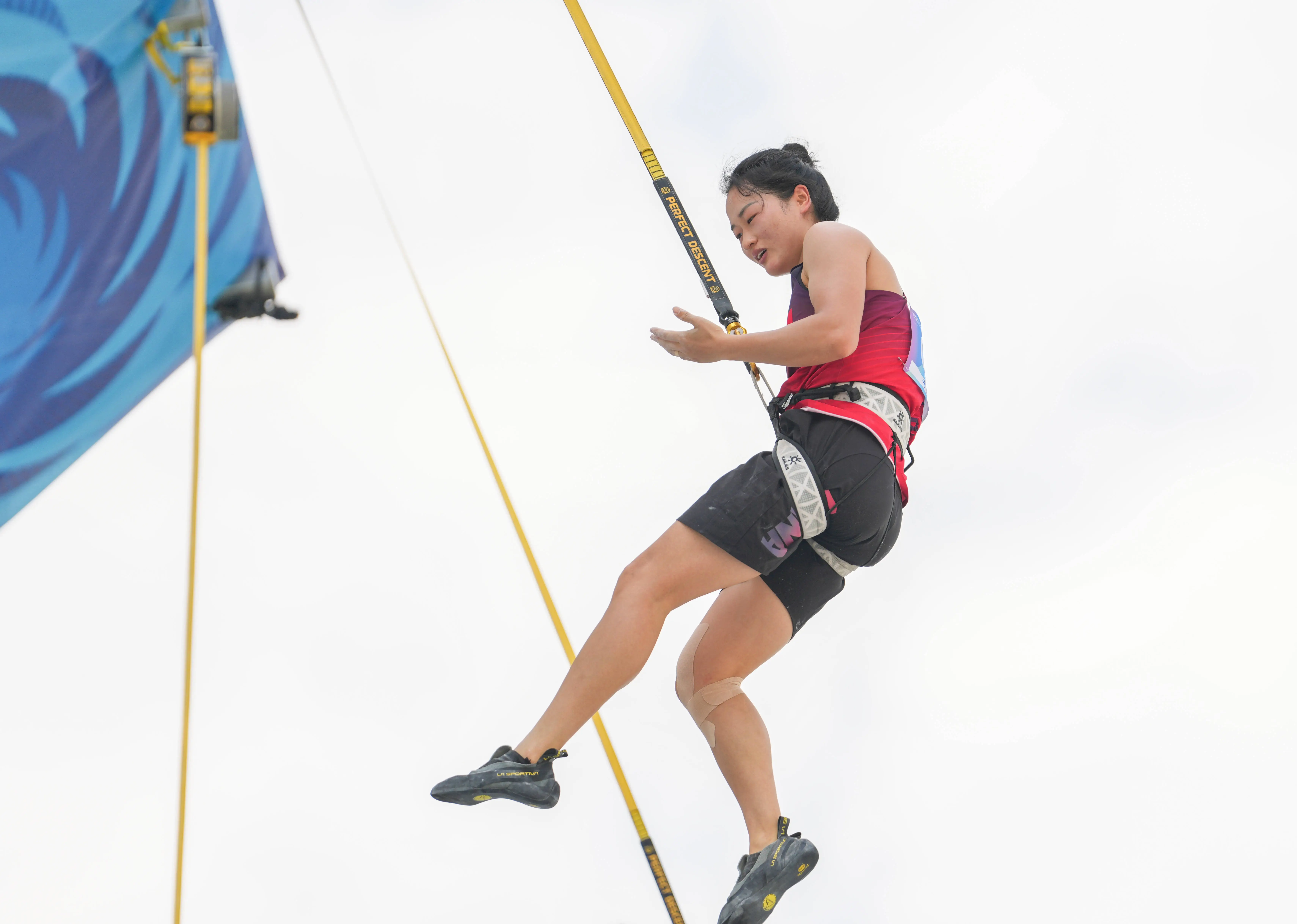 《徒手攀岩》:面对绝壁,是无畏生死还是自我挑战?...