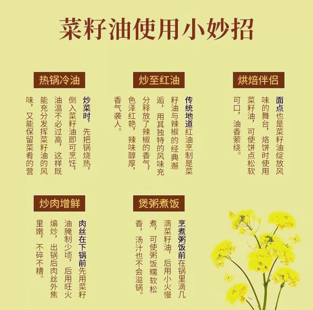 菜籽油的功效与作用 吃菜籽油有什么好处