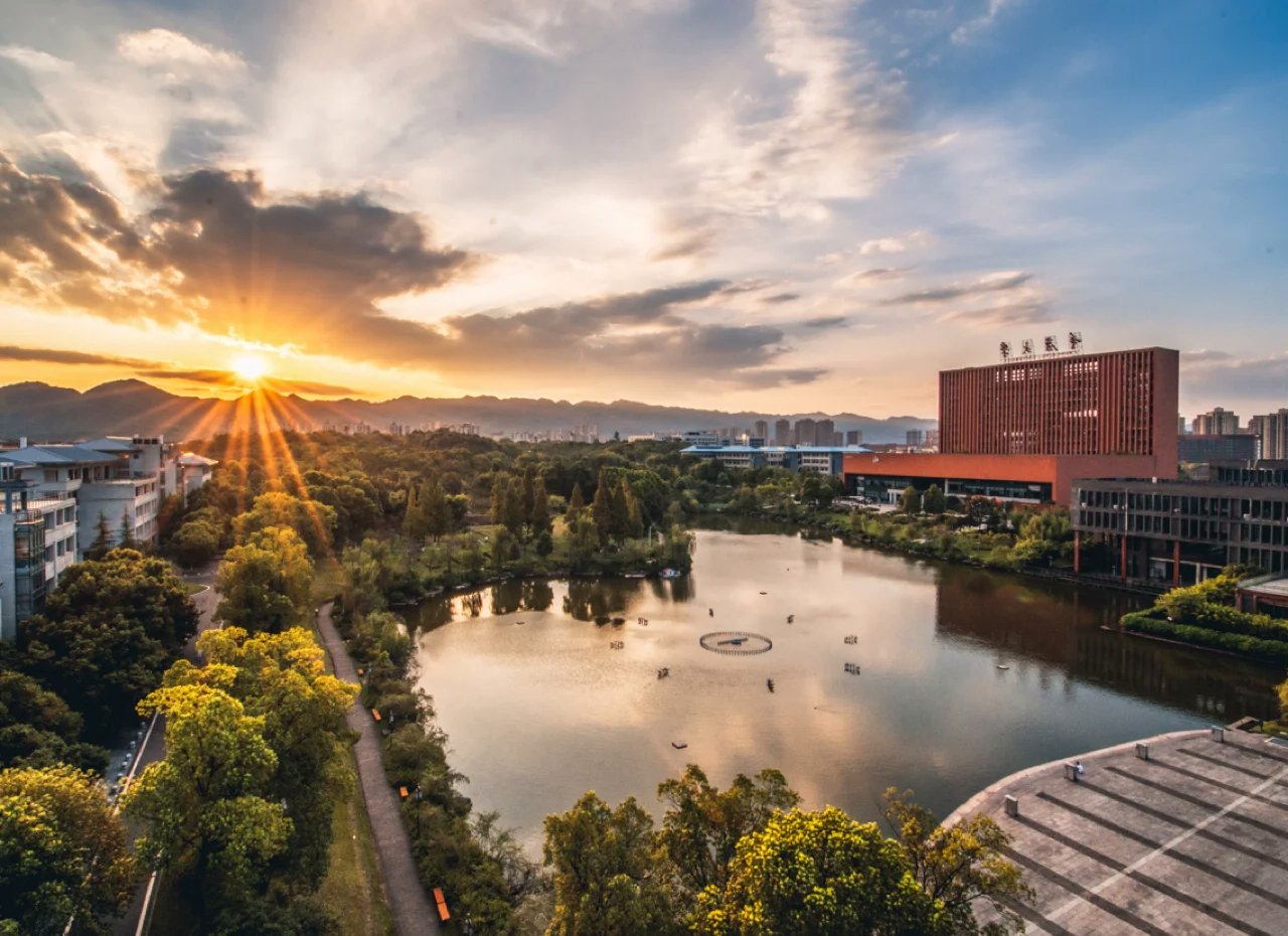 重庆网络优化案例