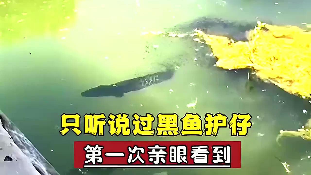 中国文化遗产保护 历史重写的意义