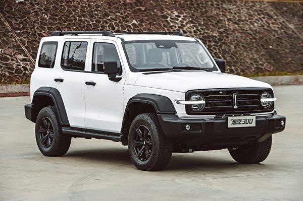 300元上门同城约茶：都市孤独经济的温柔切口