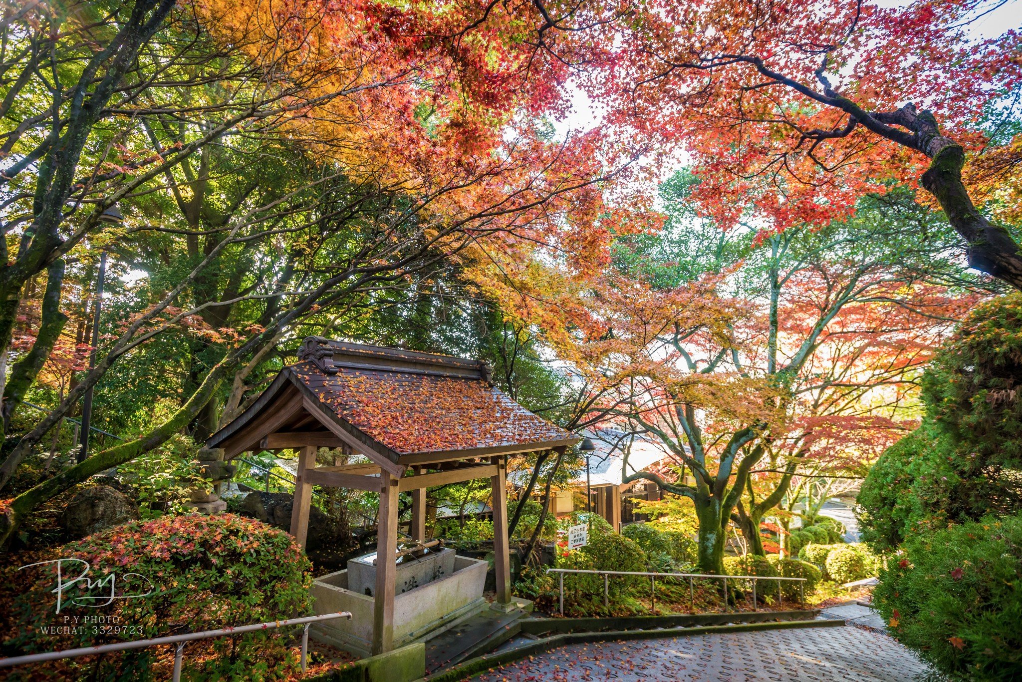 800元预算能干啥_这份避坑指南帮你省30%成本