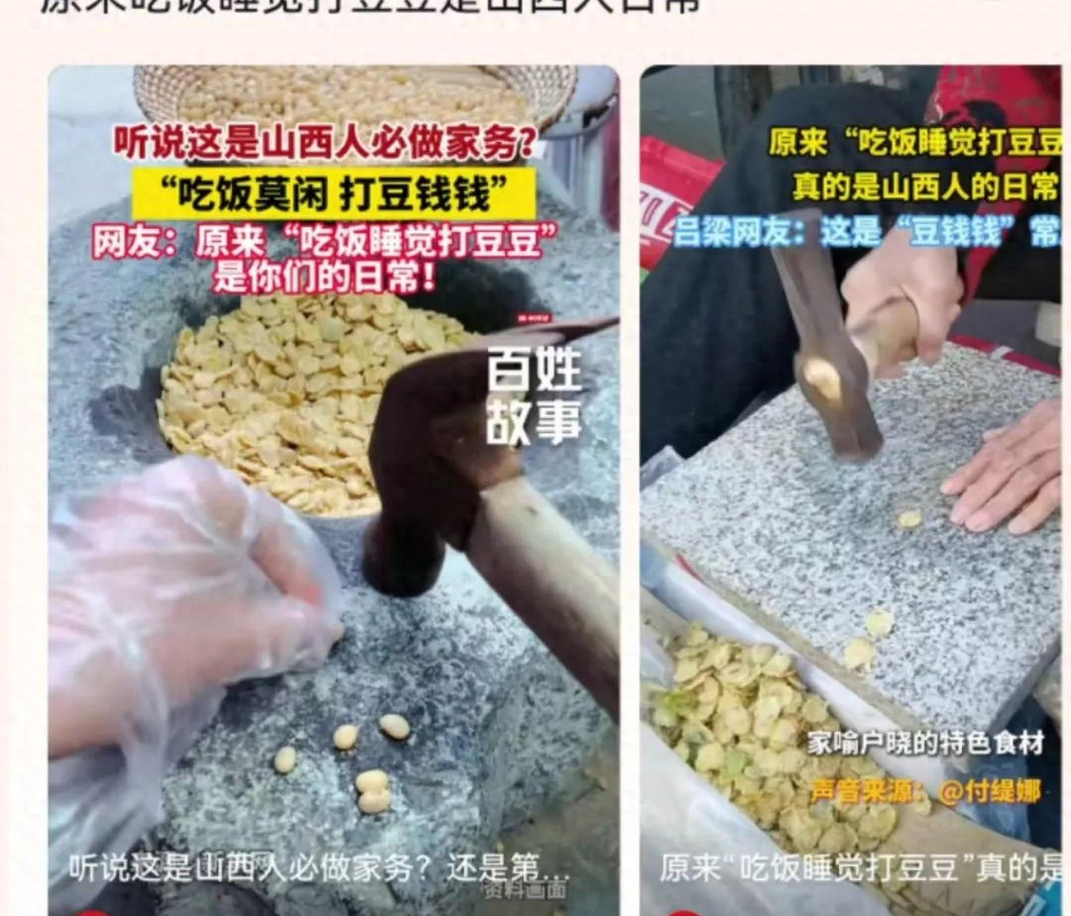 穿过雨林和盐沼,去南极“偷”只企鹅...