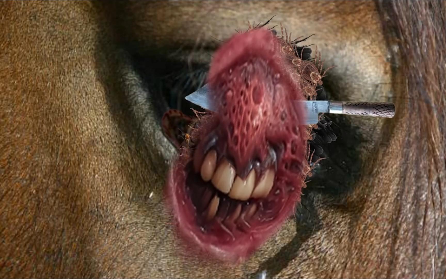 马眼棒使用指南及注意事项：如何正确操作才能保证安全舒适