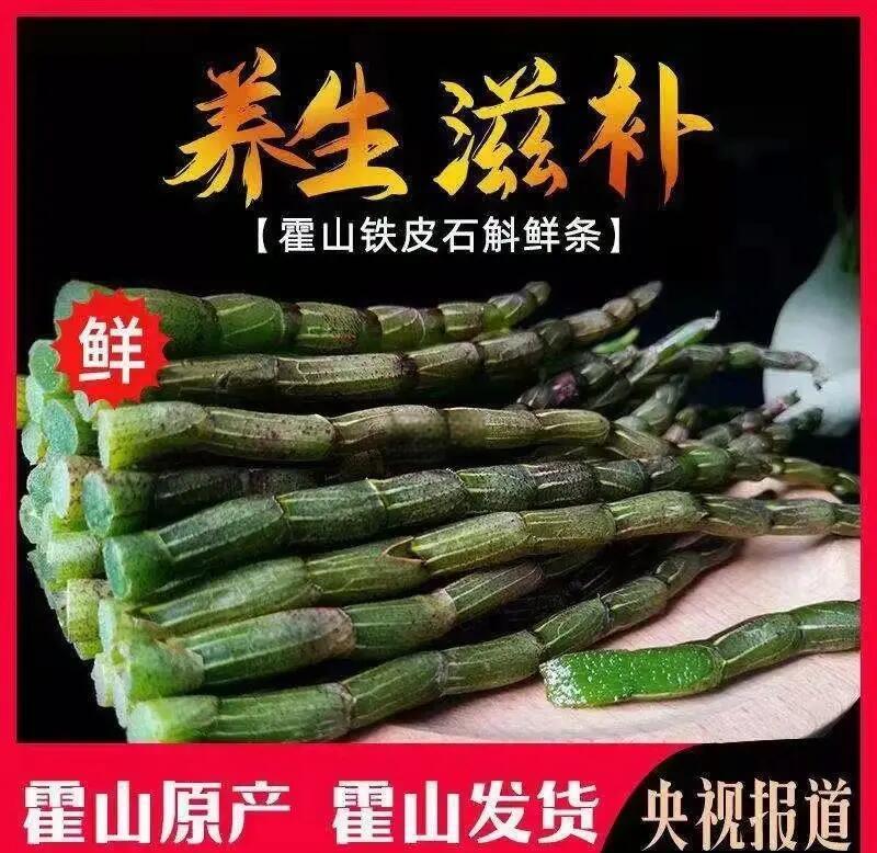 铁皮石斛汁制作方法 石斛养生吃法推荐
