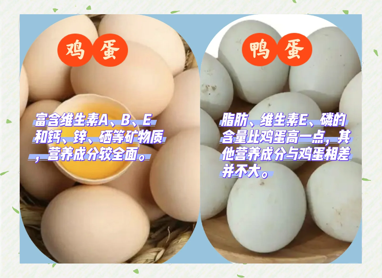 鸭蛋