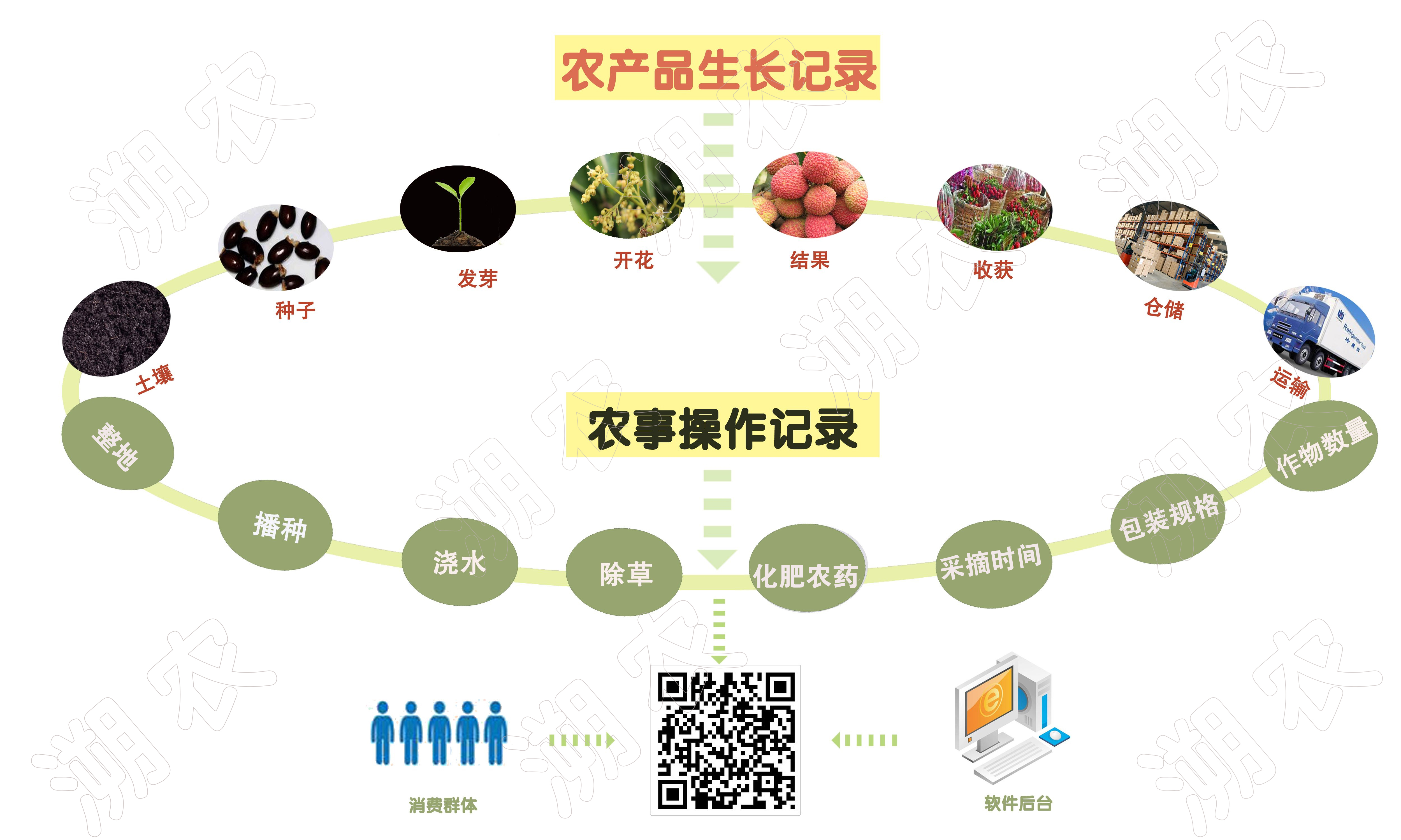 农业产品
