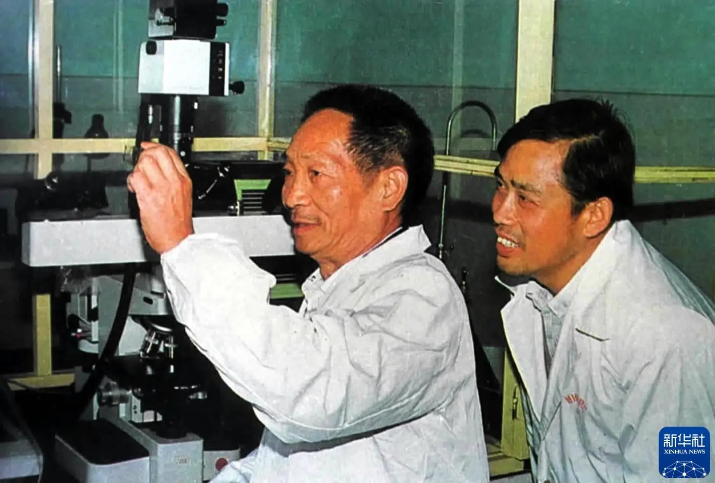 袁隆平杂交水稻