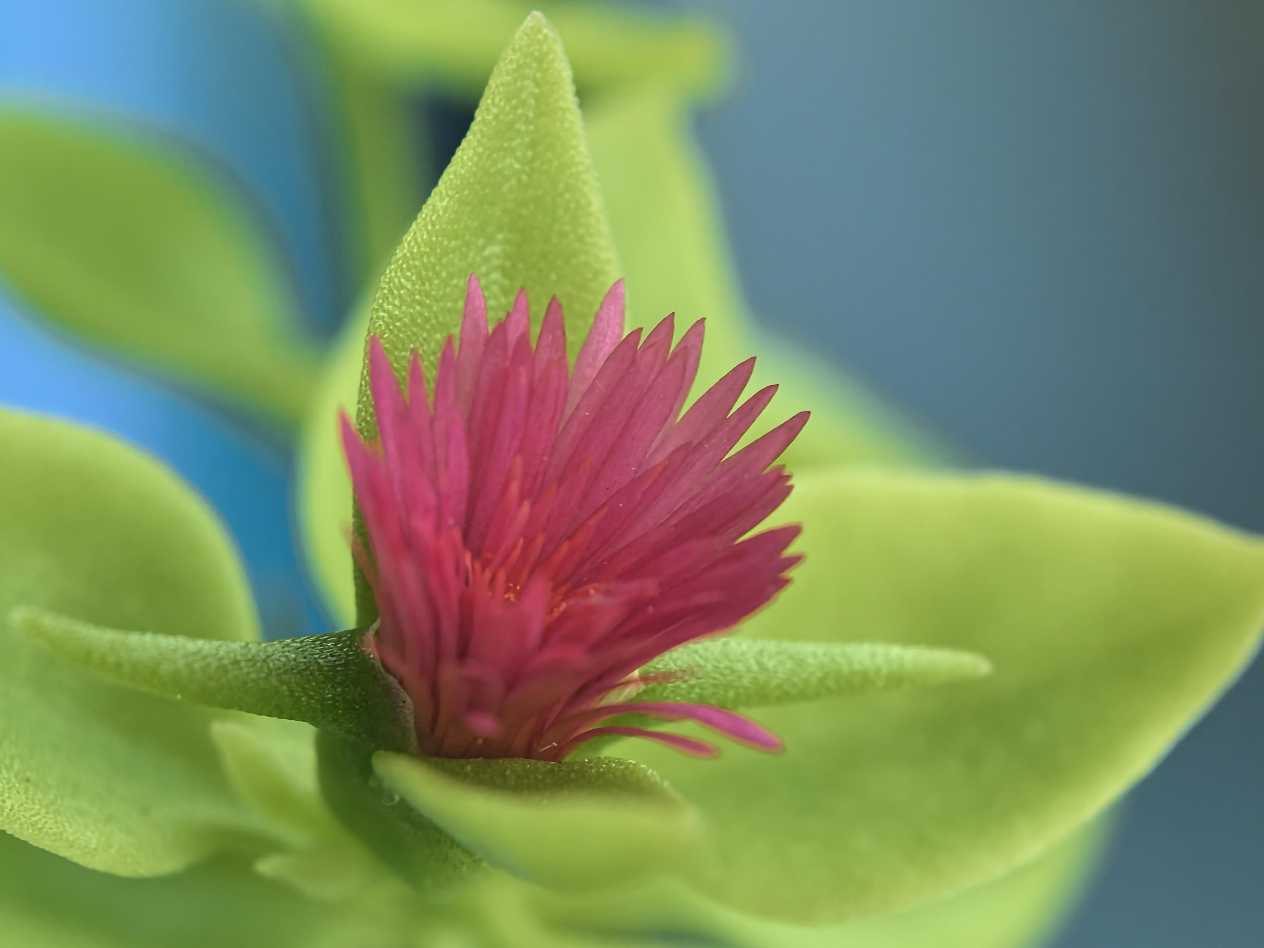 寂寞女性如何寻找心灵寄托的实用指南和相关话题深度解读