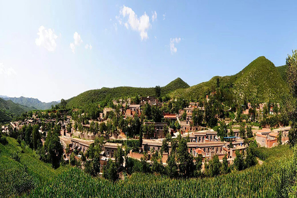 海外动态解析：昔阳县菜园街价格究竟如何查询及避坑指南