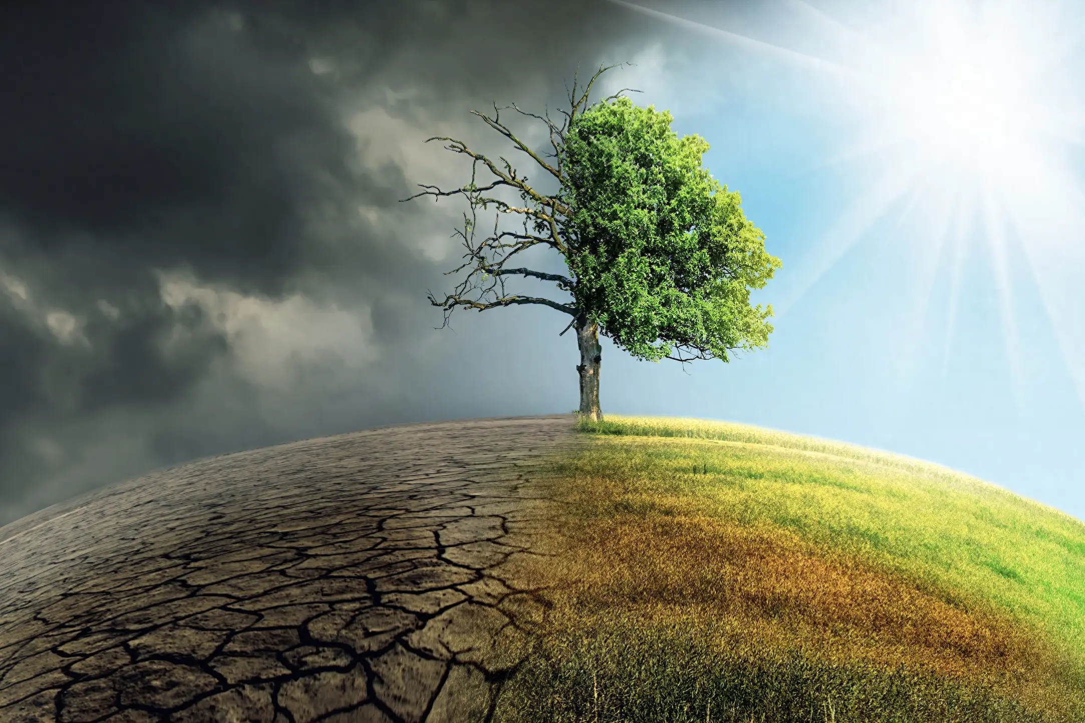 秦岭为什么是中华民族的父亲山?...