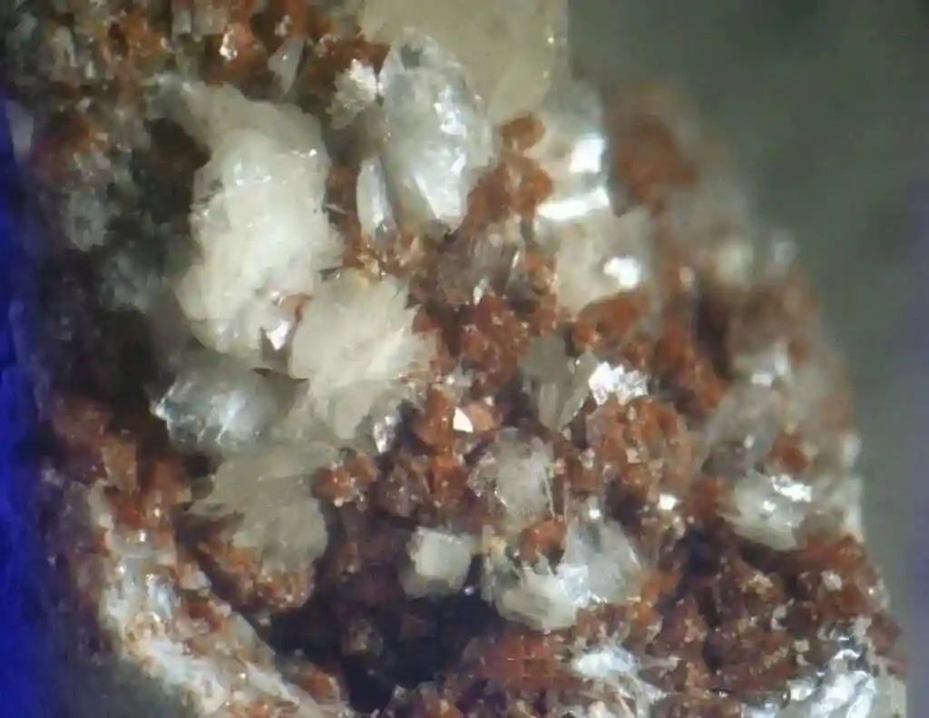 青田石神奇变色原理 青田石特点与鉴别方法