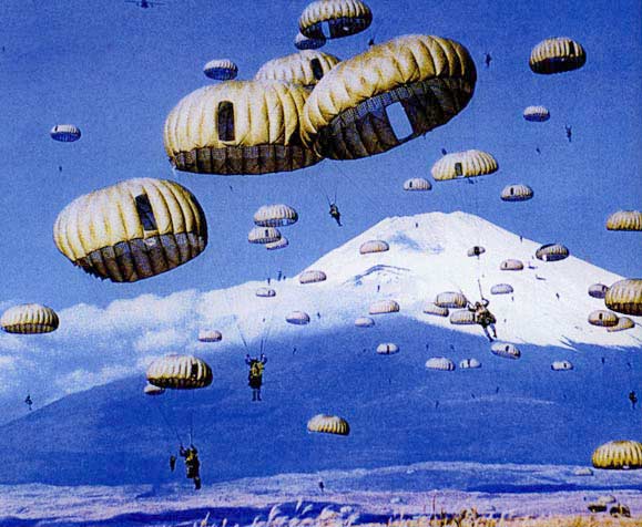 同城上门空降平台解析,服务模式与市场前景深度探讨