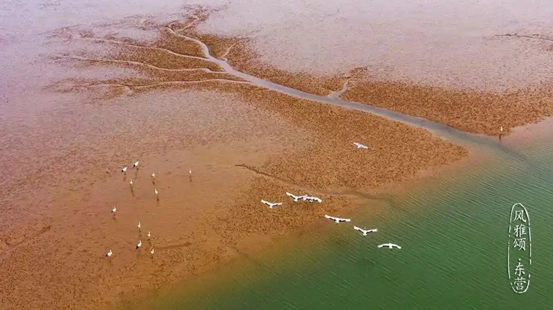 东营火车站的女的能不能找