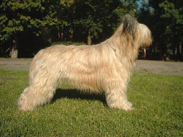 人生哲理寓言故事 热爱生命的深刻启示