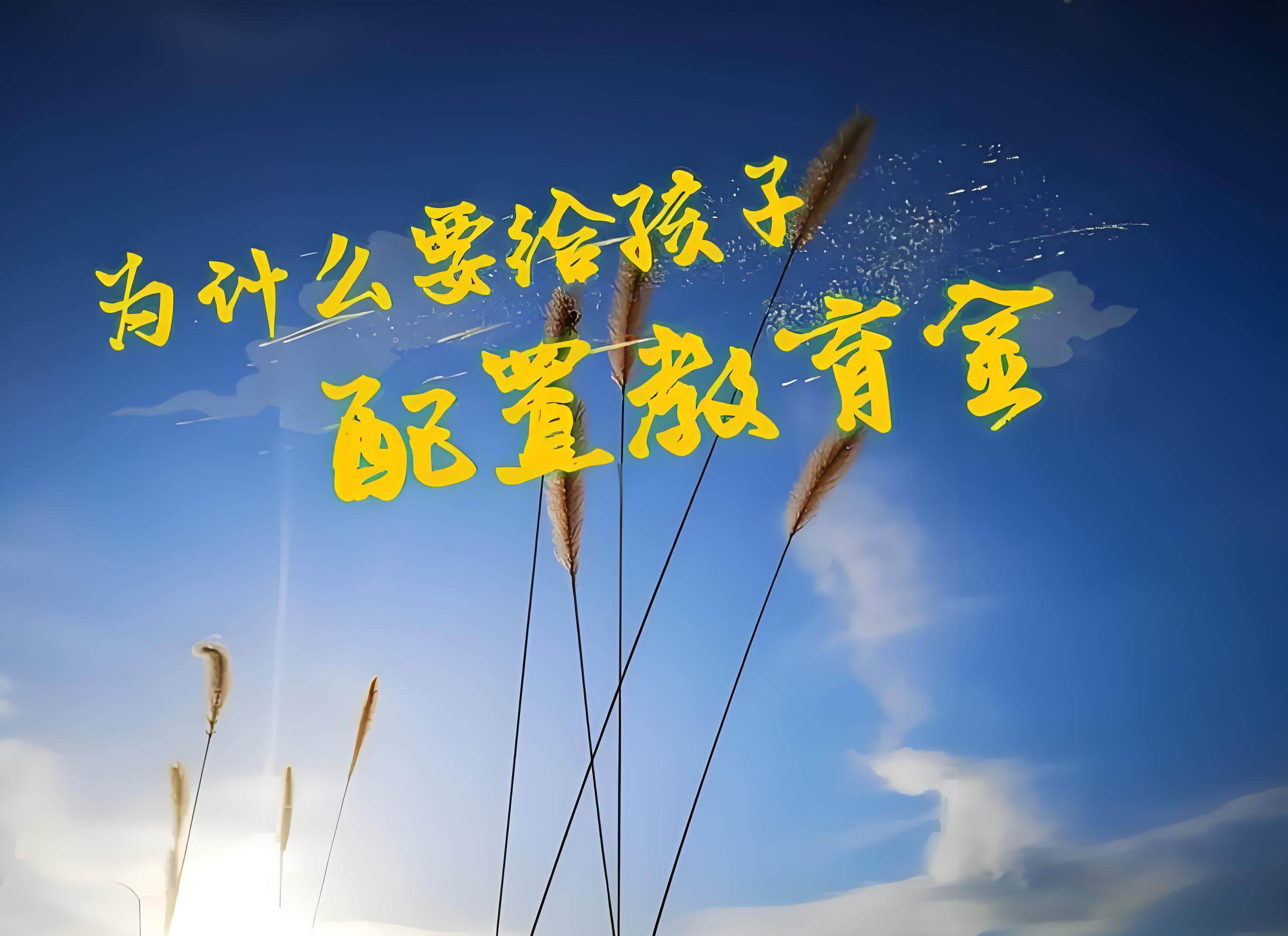 扬州如何寻找学生服务