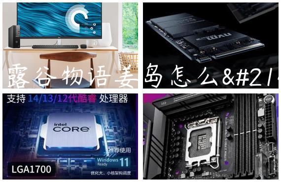 星露谷物语姜岛怎么去