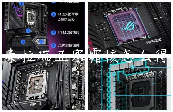 泰拉瑞亚寒霜核怎么得
