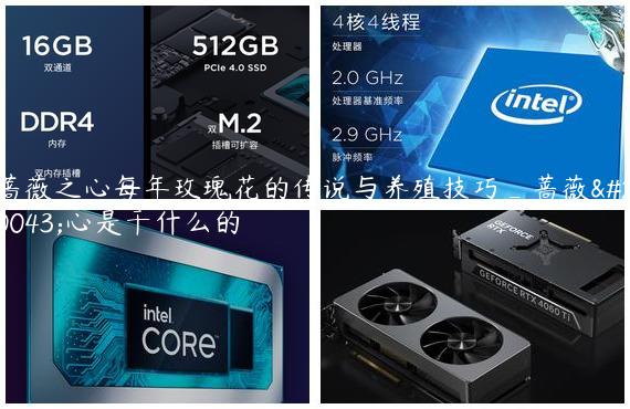 蔷薇之心每年玫瑰花的传说与养殖技巧_蔷薇之心是干什么的
