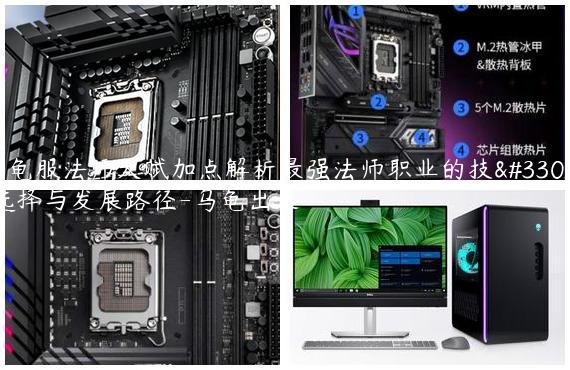 乌龟服法师天赋加点解析最强法师职业的技能选择与发展路径-乌龟出装