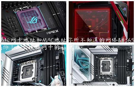 揭秘网卡地址和MAC地址你所不知道的网络身份|怎么理解网卡的mac地址
