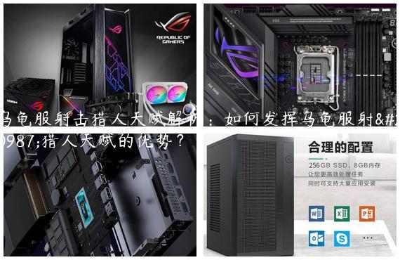 乌龟服射击猎人天赋解析：如何发挥乌龟服射击猎人天赋的优势？