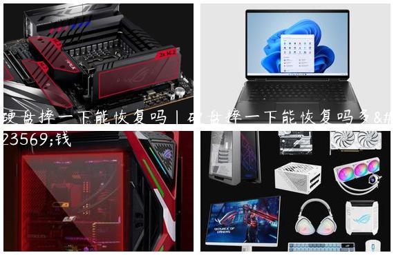 硬盘摔一下能恢复吗|硬盘摔一下能恢复吗多少钱