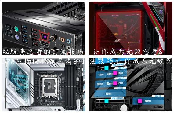 揭秘脱壳忍者的打法技巧，让你成为无敌忍者！,揭秘脱壳忍者的打法技巧,让你成为无敌忍者