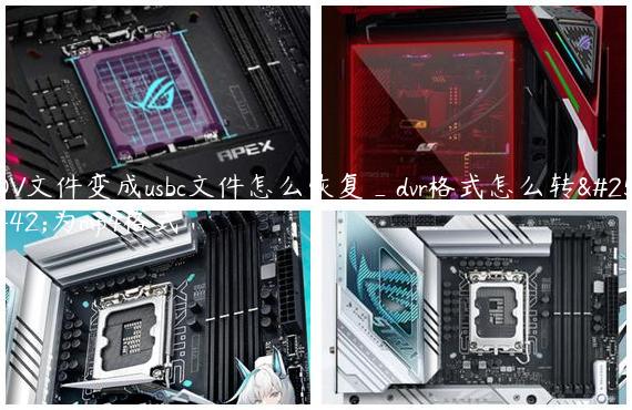 DV文件变成usbc文件怎么恢复_dvr格式怎么转换为mp4格式